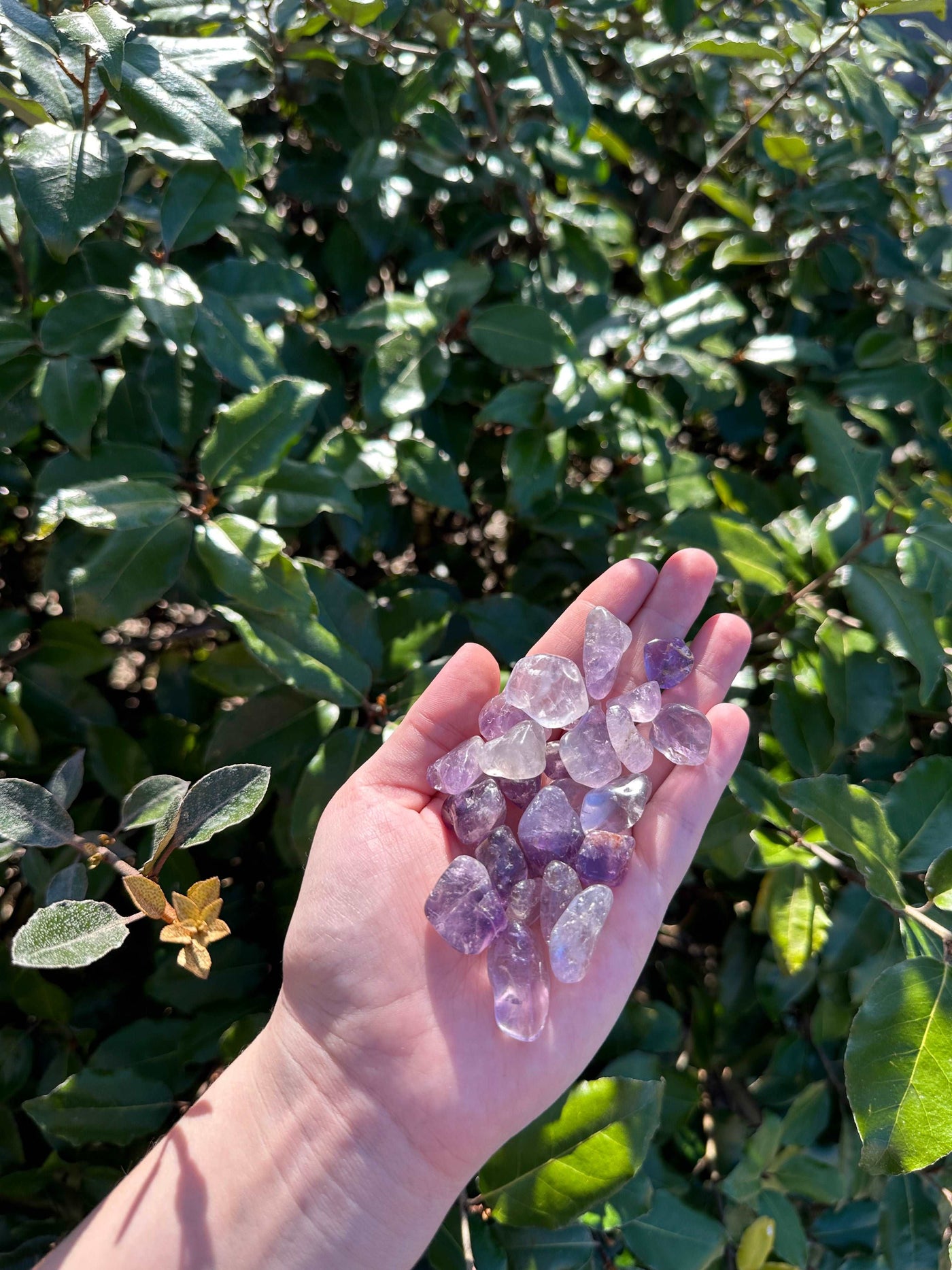 AMETHYST TUMBLED STONE by HarleyRae