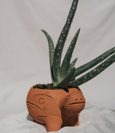 Rakshana Turtle Plant Pot -  Terracotta by Matr Boomie