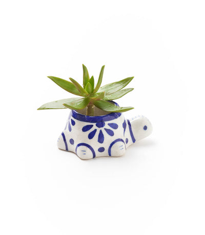 Lalita Baby Turtle Mini Succulent Planter - White, Blue Hand Painted by Matr Boomie