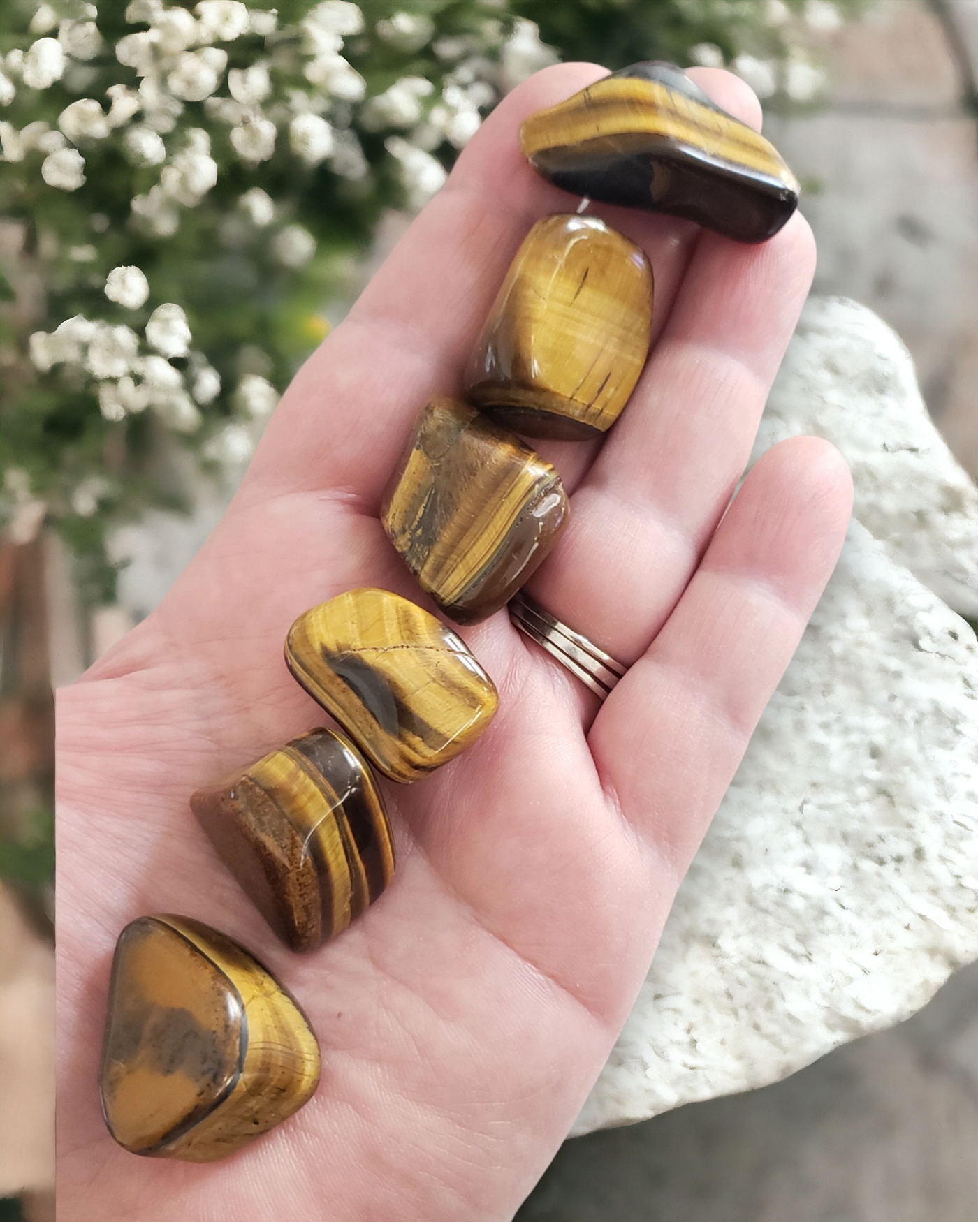 Tumbled Tiger's Eye Stones by Whyte Quartz