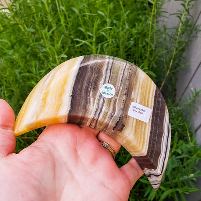 Zebra Onyx Moon Bowl by Whyte Quartz☀️