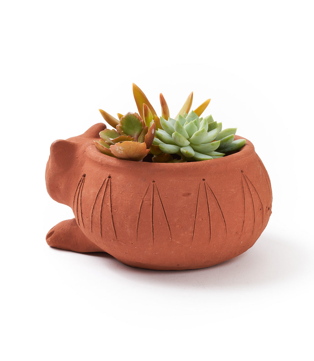 Rakshana Cat Plant Pot - Terracotta by Matr Boomie