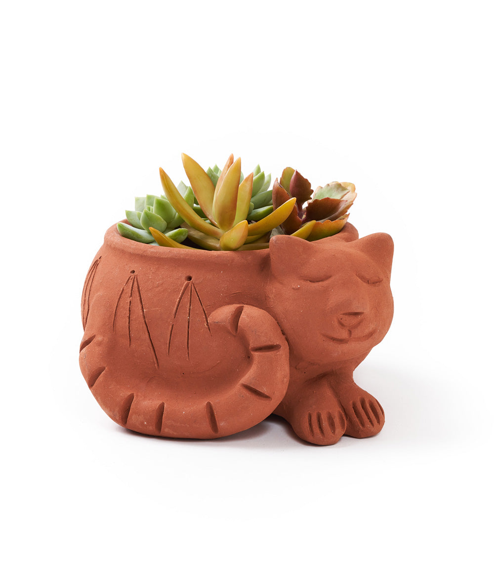 Rakshana Cat Plant Pot - Terracotta by Matr Boomie