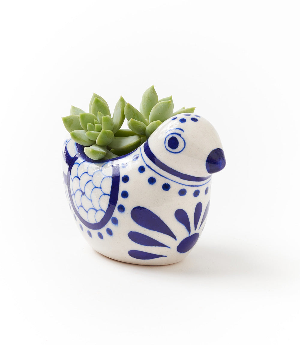 Lalita Bird Succulent Planter - White, Blue Hand Painted by Matr Boomie