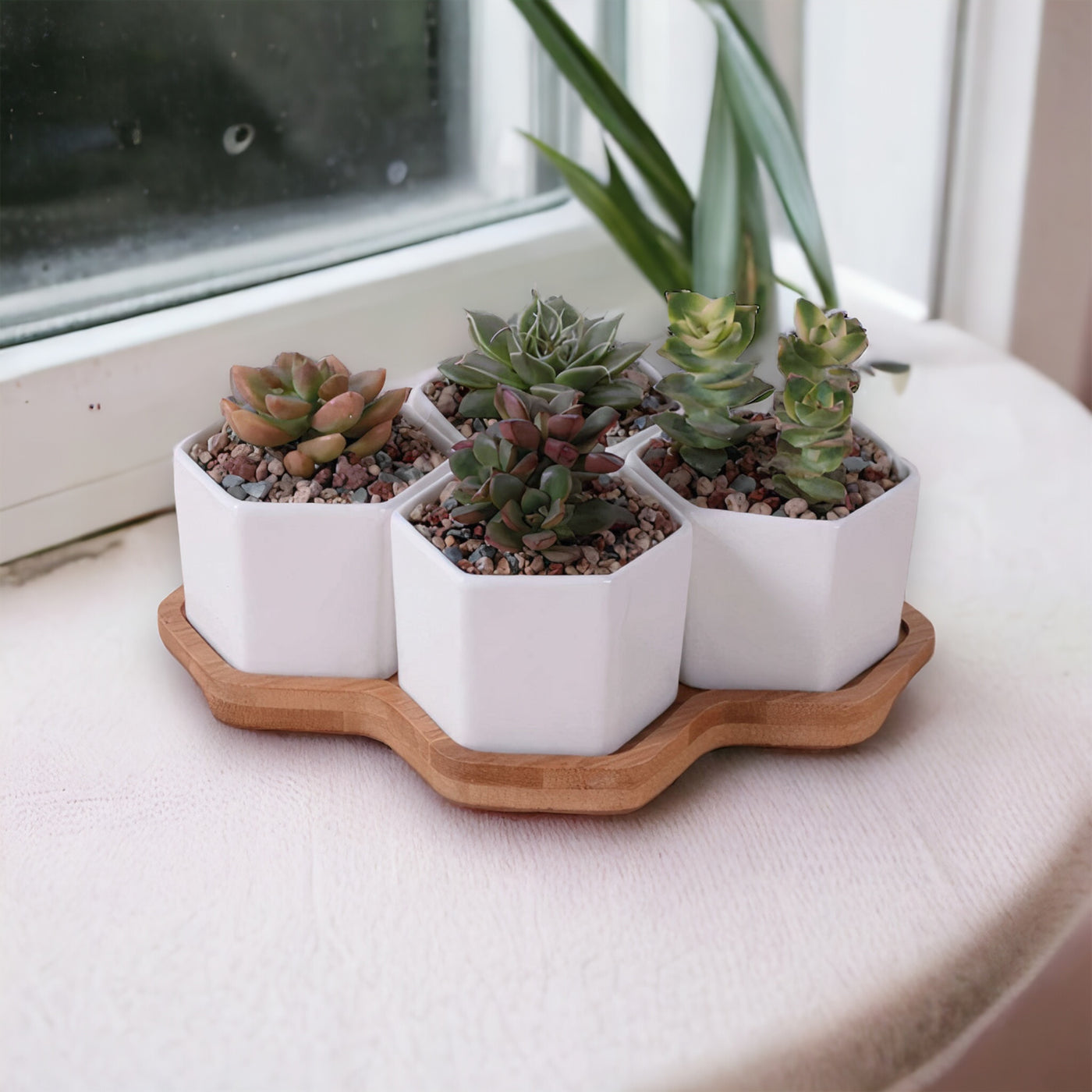 Beehive Planter by ClaudiaG Collection