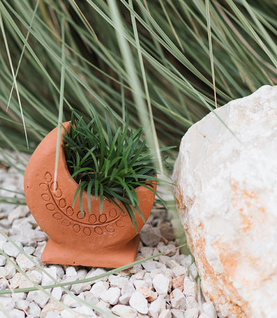 Rakshana Cresecent Moon Plant Pot - Terracotta by Matr Boomie