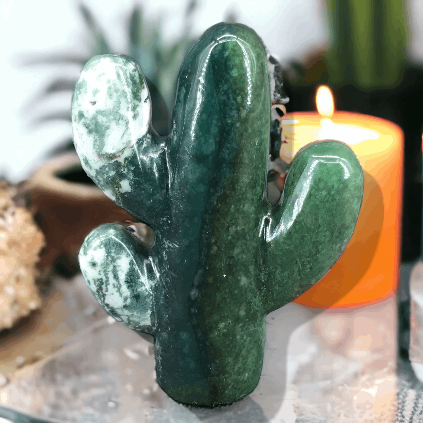 @ Moss Agate Cactus - Nature's Green Oasis @