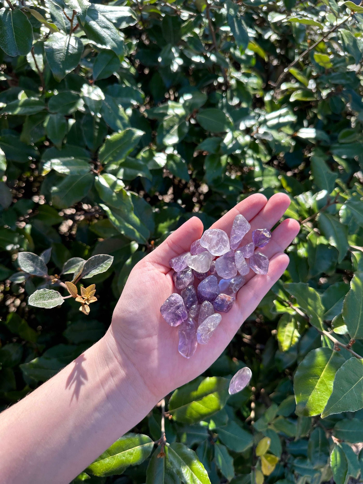 AMETHYST TUMBLED STONE by HarleyRae