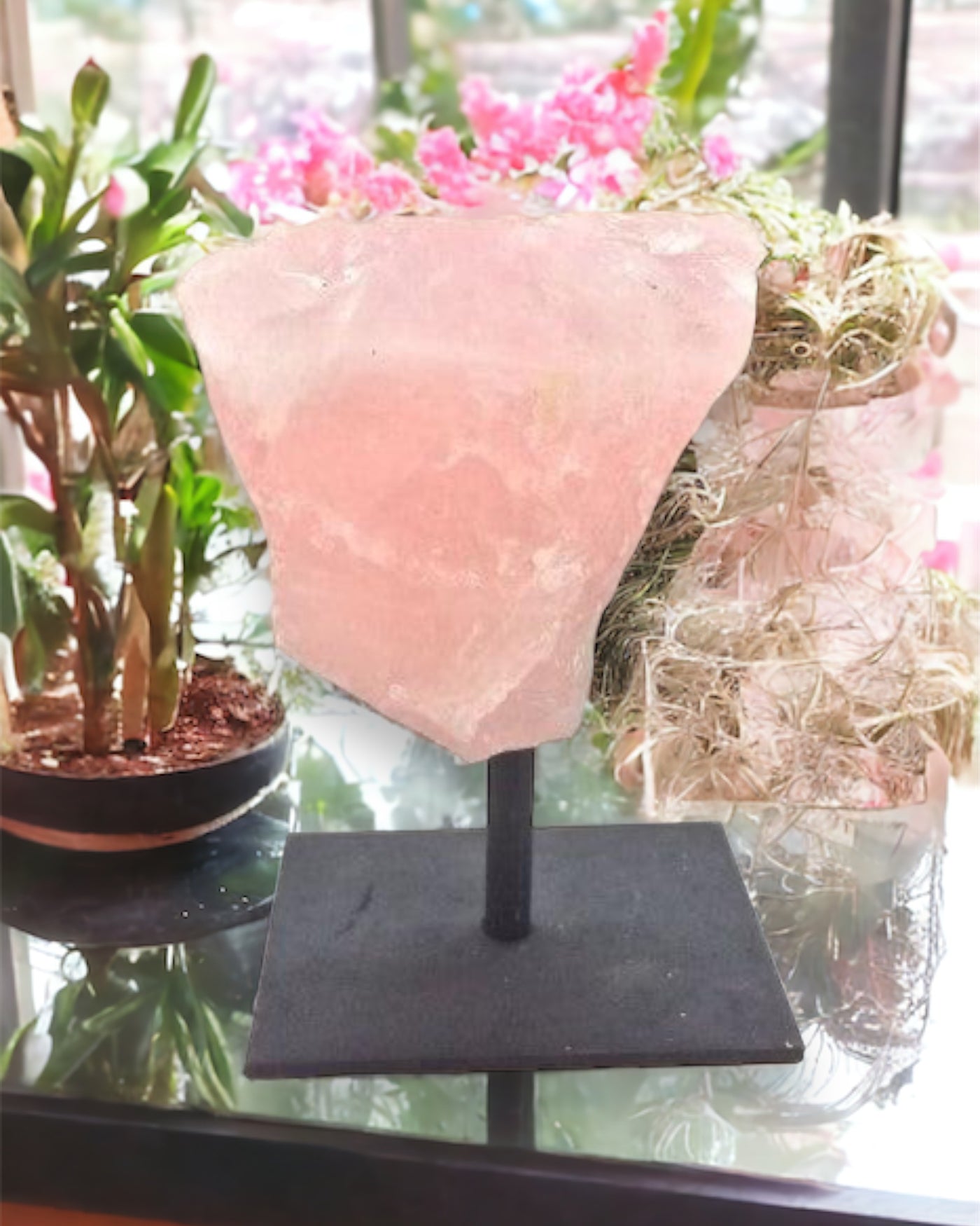 Natural Rose Quartz on Metal Stand Home Decor Display Piece by Whyte Quartz☀️