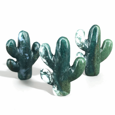 @ Moss Agate Cactus - Nature's Green Oasis @