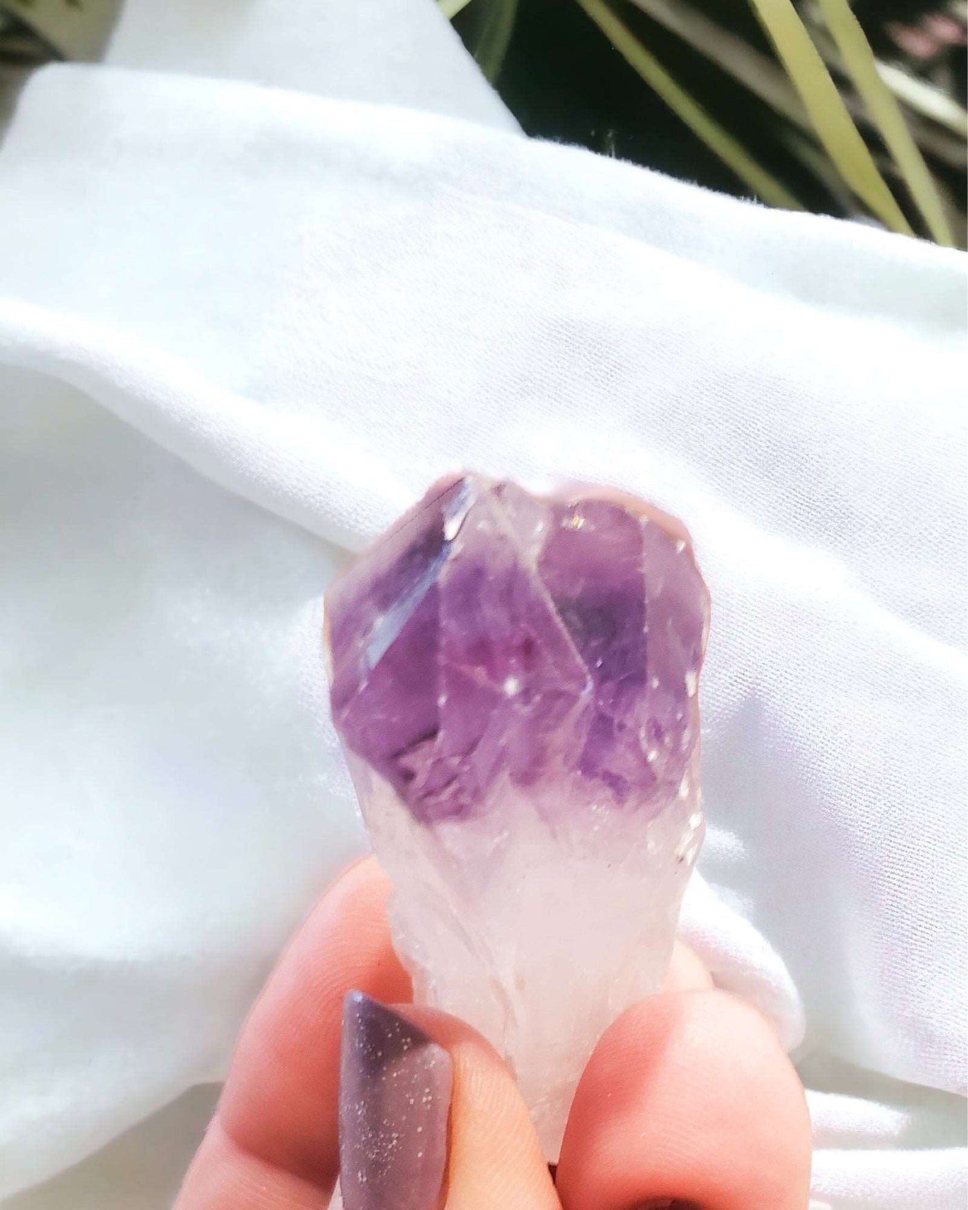 Amethyst Rough Stone by Whyte Quartz