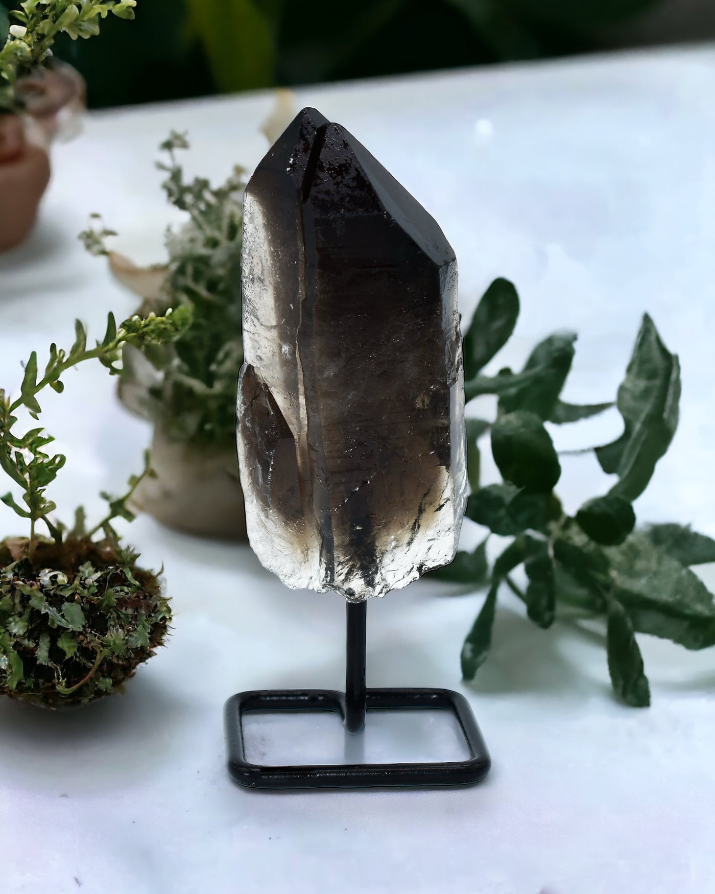 Smokey Quartz Points on Metal Base Small Display Piece by Whyte Quartz