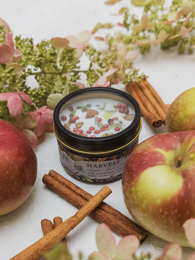 HARVEST Apple Spice Candle by Ash & Rose