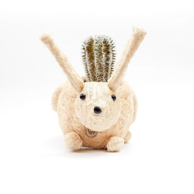 Bunny Planter - Handmade Planters | LIKHÂ by LIKHÂ