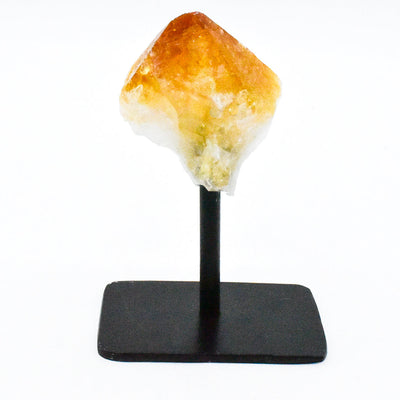 Natural Crystal Point on Metal Stand by Whyte Quartz