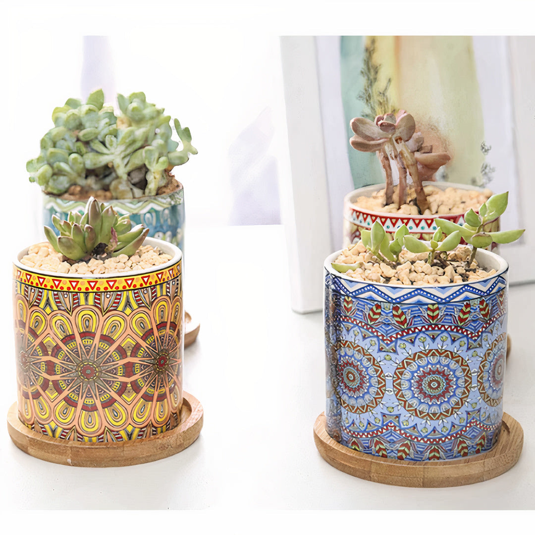 Mandala Planter Set of 4 by ClaudiaG Collection