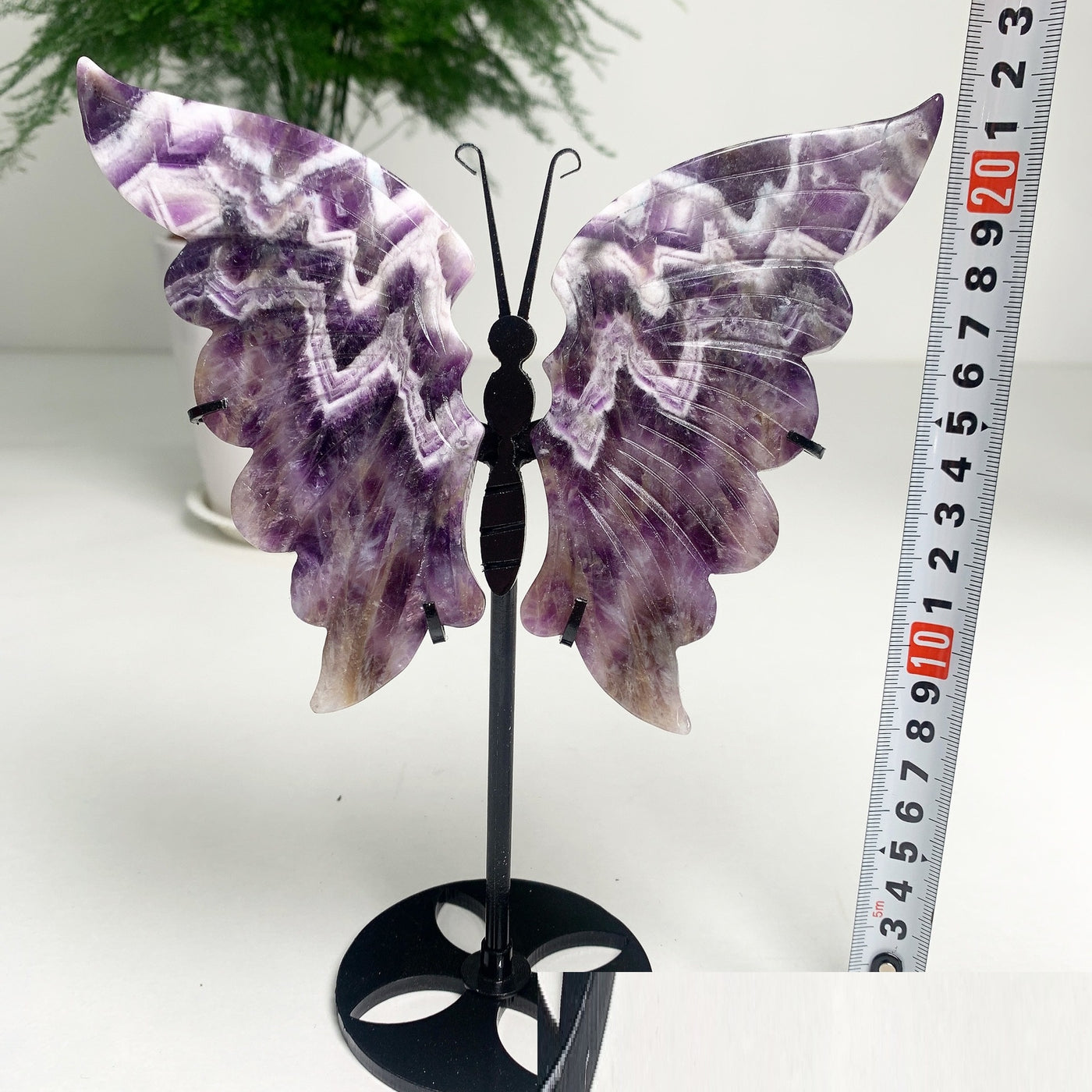 Dream Amethyst Butterfly Wing Carving 🤍