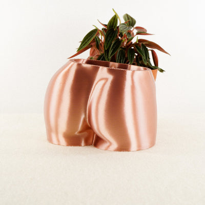 Butt Plant Pot with drainage and Drip trays by Rosebud HomeGoods