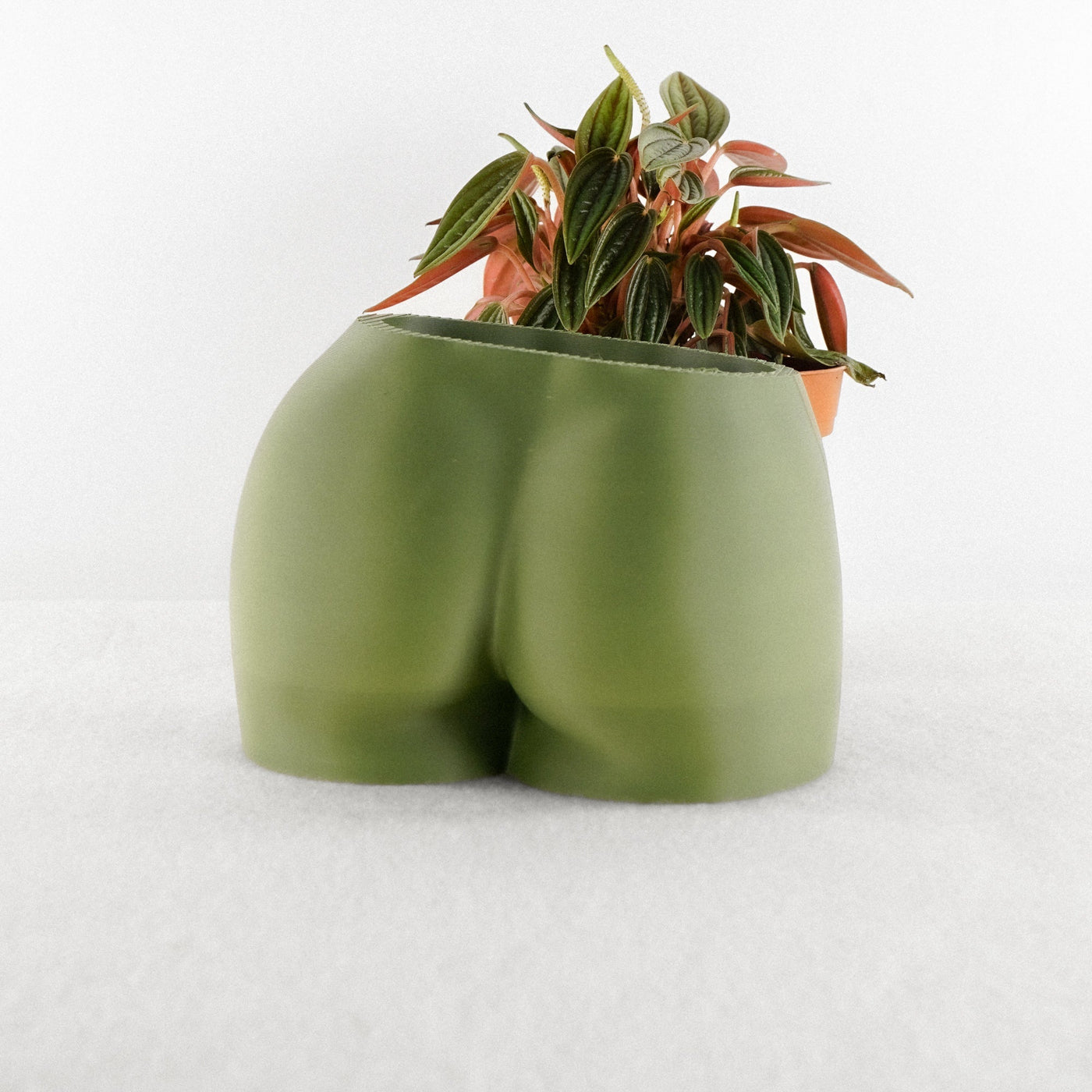 Butt Plant Pot with drainage and Drip trays by Rosebud HomeGoods