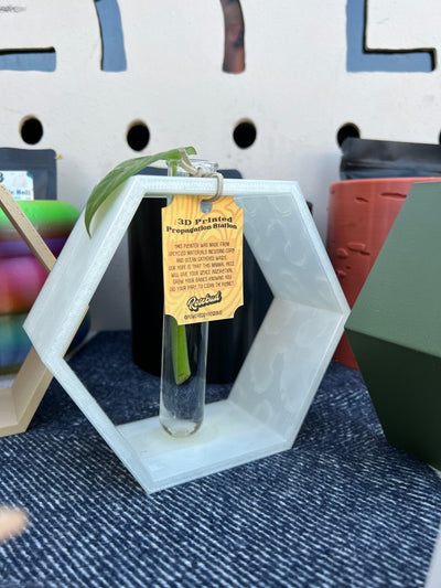 Hexagon Propagation Station by Rosebud HomeGoods