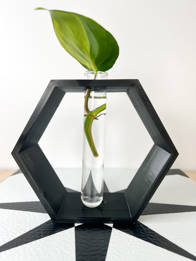 Hexagon Propagation Station by Rosebud HomeGoods