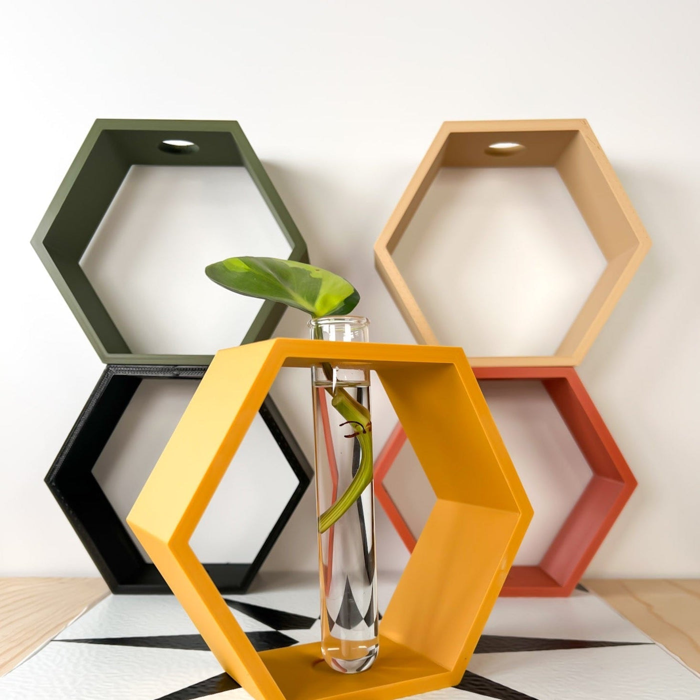 Hexagon Propagation Station by Rosebud HomeGoods