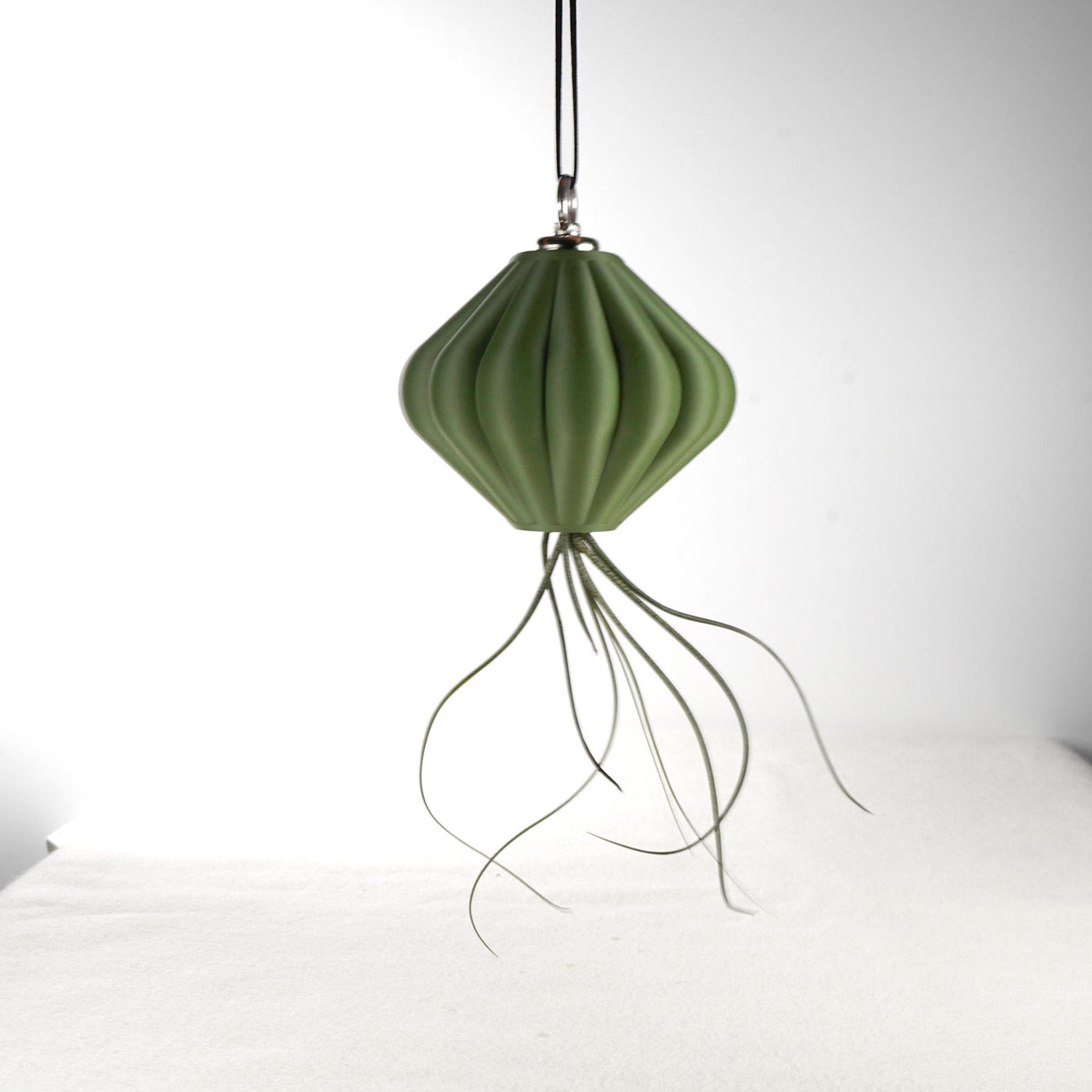 MAGNETIC Air Planter, JellyFish, Air Plant Included by Rosebud HomeGoods