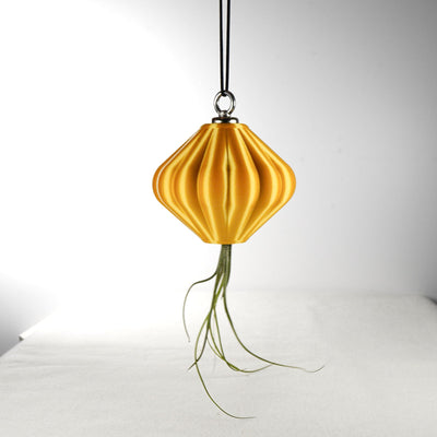 MAGNETIC Air Planter, JellyFish, Air Plant Included by Rosebud HomeGoods