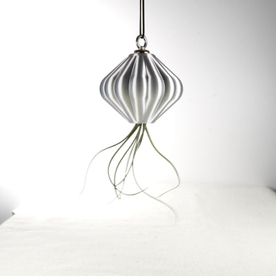 MAGNETIC Air Planter, JellyFish, Air Plant Included by Rosebud HomeGoods