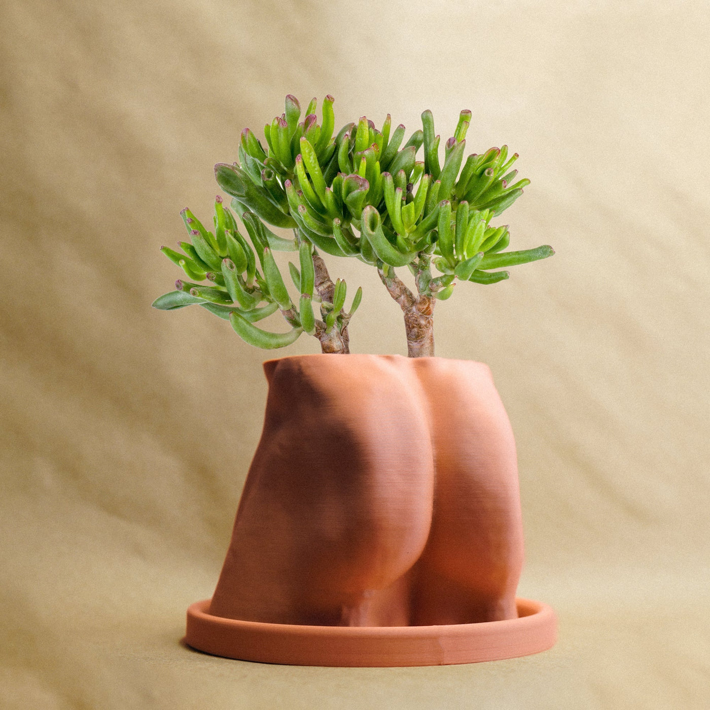 Muscle Butt Planter, Funny White Elephant Gifts for Plant Lovers by Rosebud HomeGoods