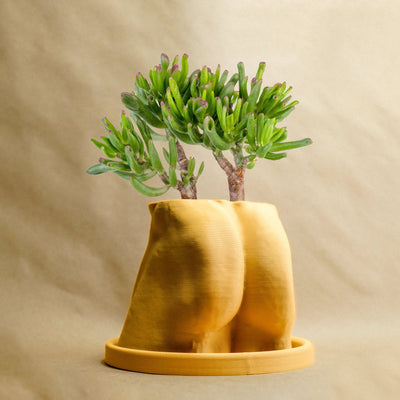 Muscle Butt Planter, Funny White Elephant Gifts for Plant Lovers by Rosebud HomeGoods