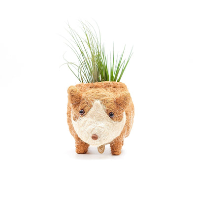 Baby Corgi Succulent Pot - Handmade Planters | LIKHÂ by LIKHÂ