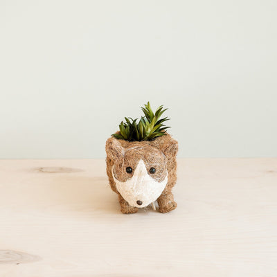 Baby Corgi Succulent Pot - Handmade Planters | LIKHÂ by LIKHÂ