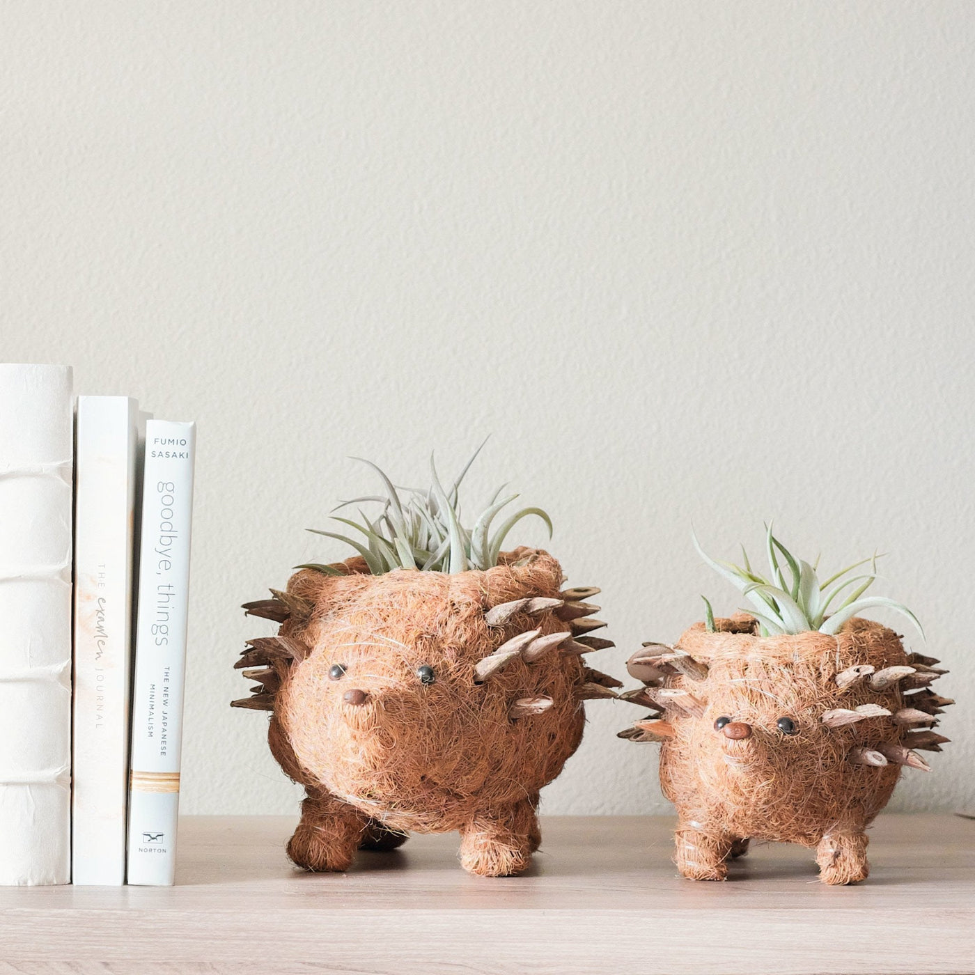 Baby Hedgehog Plant Pot - Handmade Planters | LIKHÂ by LIKHÂ