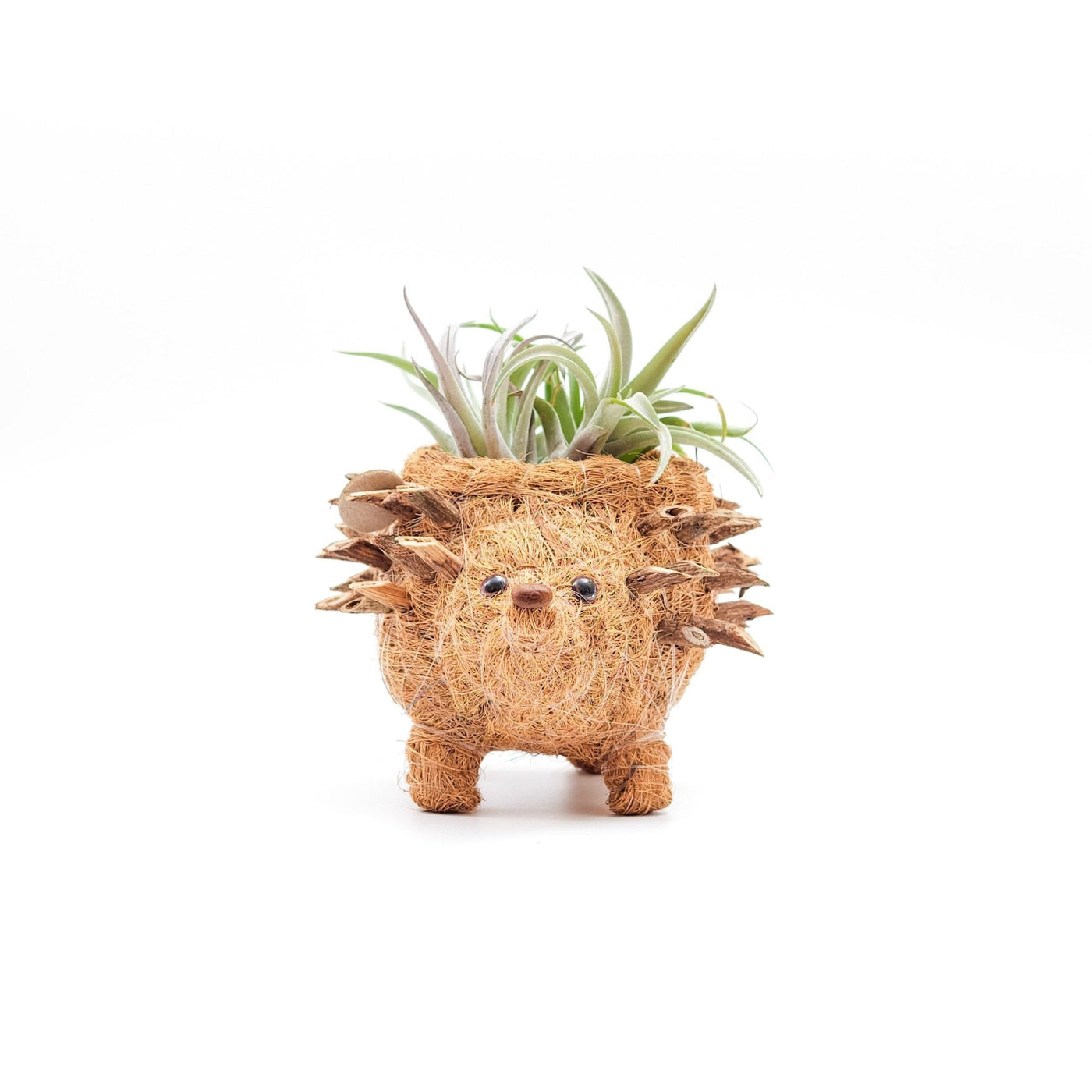 Baby Hedgehog Plant Pot - Handmade Planters | LIKHÂ by LIKHÂ