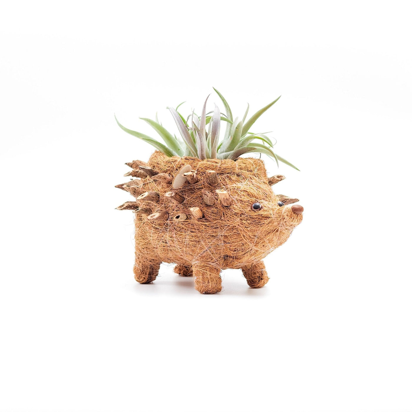 Baby Hedgehog Plant Pot - Handmade Planters | LIKHÂ by LIKHÂ