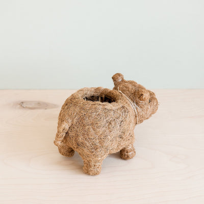 Baby Hippo Plant Pot - Handmade Pots | LIKHÂ by LIKHÂ