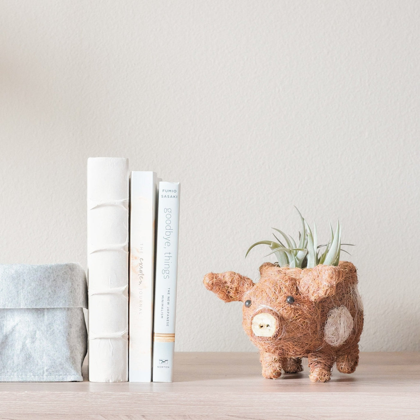 Baby Pig Succulent Pot - Handmade Planters | LIKHÂ by LIKHÂ