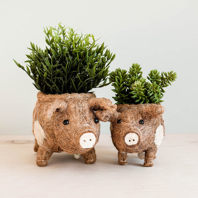 Baby Pig Succulent Pot - Handmade Planters | LIKHÂ by LIKHÂ