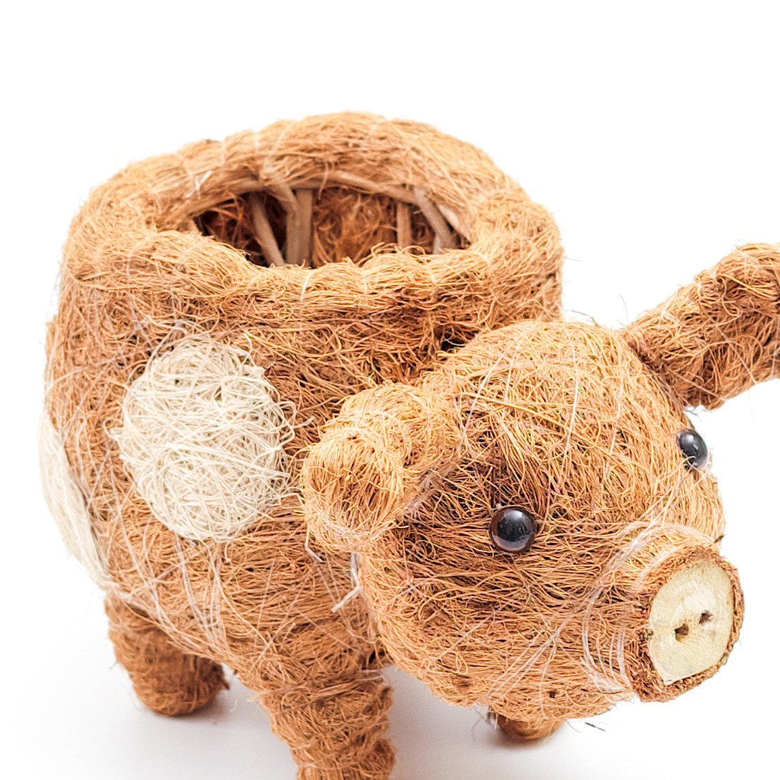 Baby Pig Succulent Pot - Handmade Planters | LIKHÂ by LIKHÂ