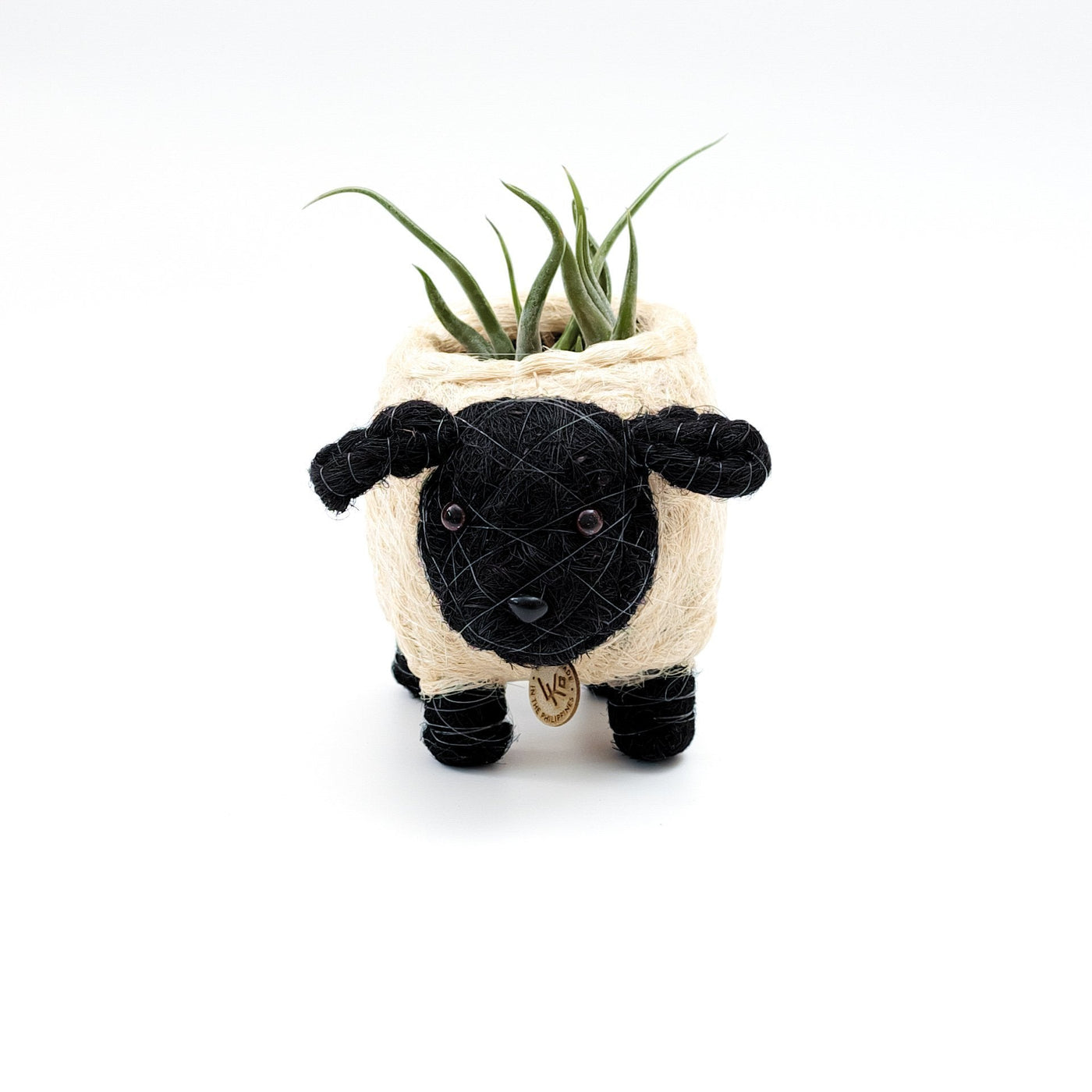 Baby Sheep Planter - Coco Coir Pots | LIKHÂ by LIKHÂ