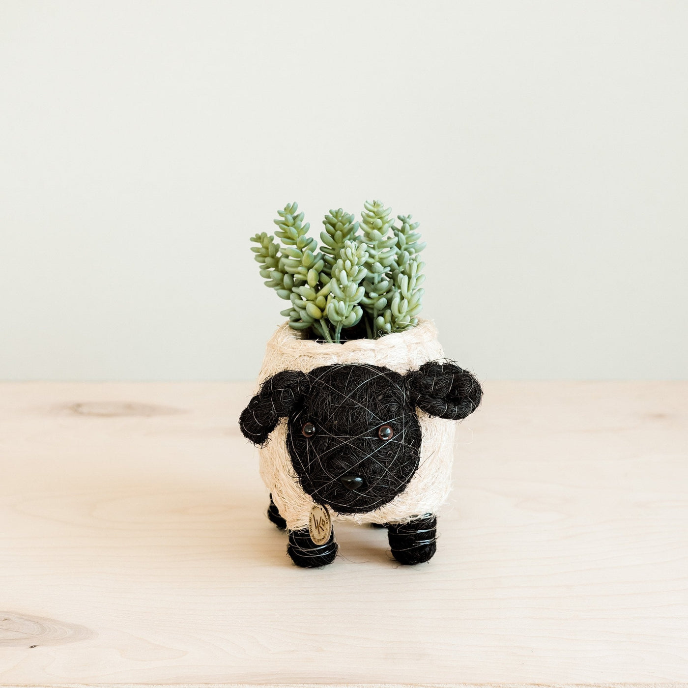 Baby Sheep Planter - Coco Coir Pots | LIKHÂ by LIKHÂ