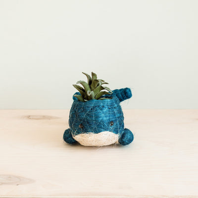 Baby Whale Flower Pot - Coco Coir Pots | LIKHÂ by LIKHÂ