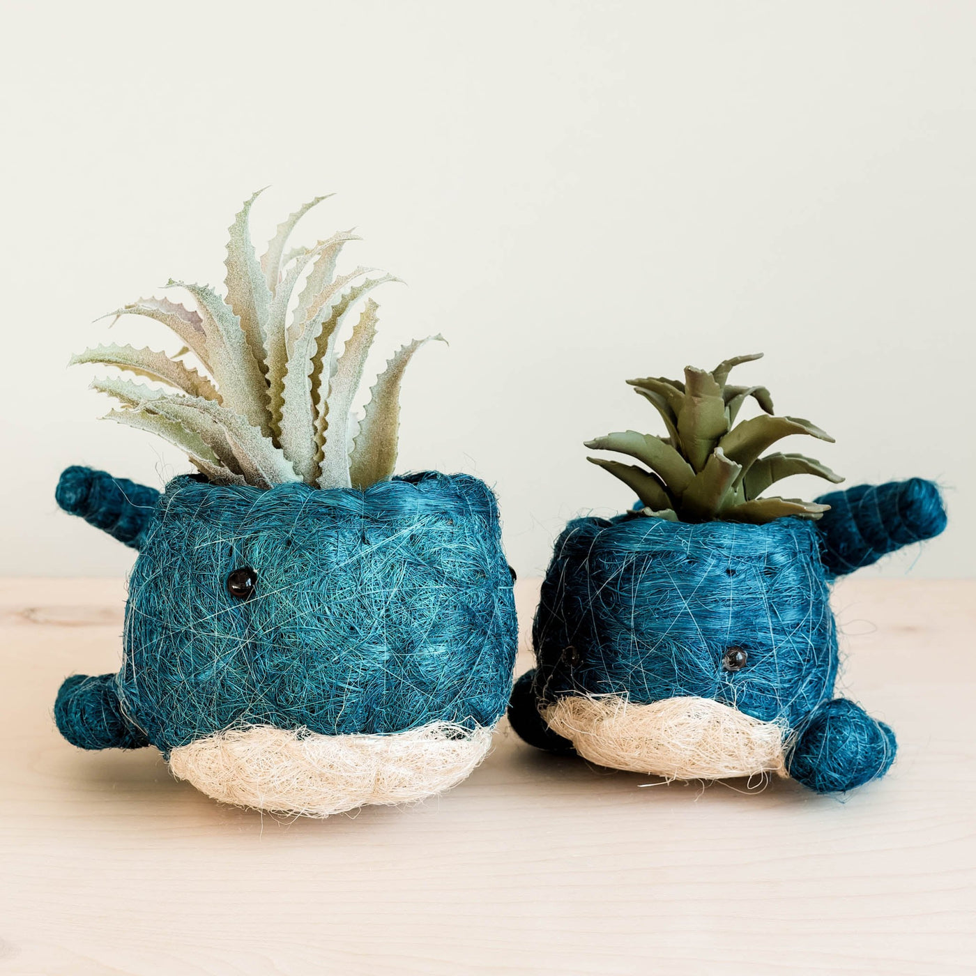 Baby Whale Flower Pot - Coco Coir Pots | LIKHÂ by LIKHÂ