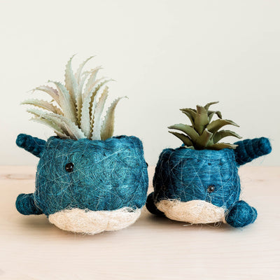 Baby Whale Flower Pot - Coco Coir Pots | LIKHÂ by LIKHÂ