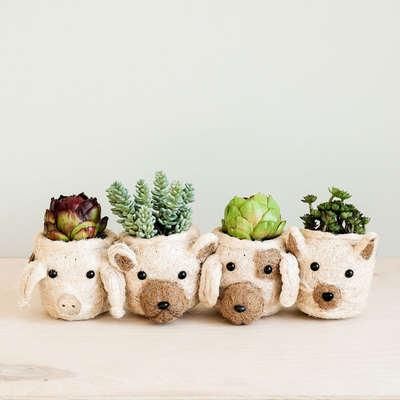 Bear Planter - Animal Head Planters | LIKHÂ by LIKHÂ