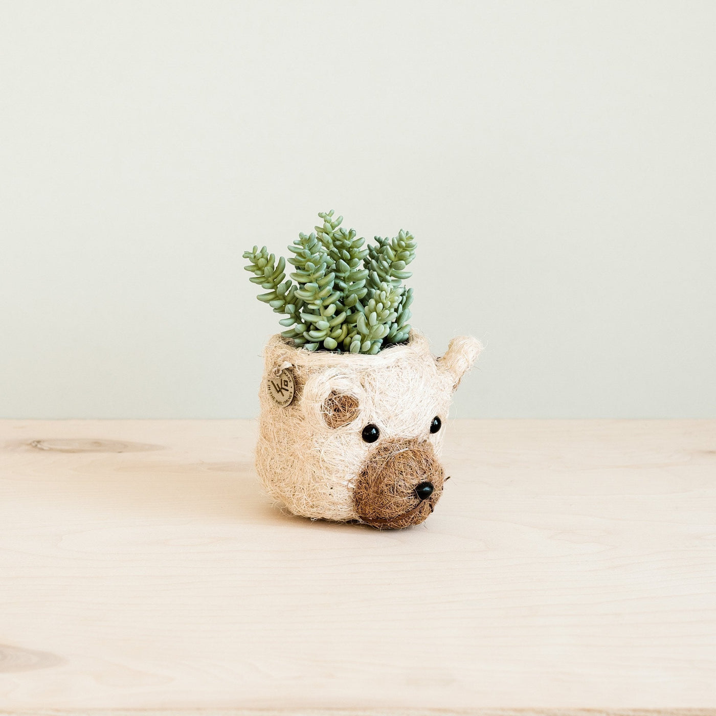 Bear Planter - Animal Head Planters | LIKHÂ by LIKHÂ