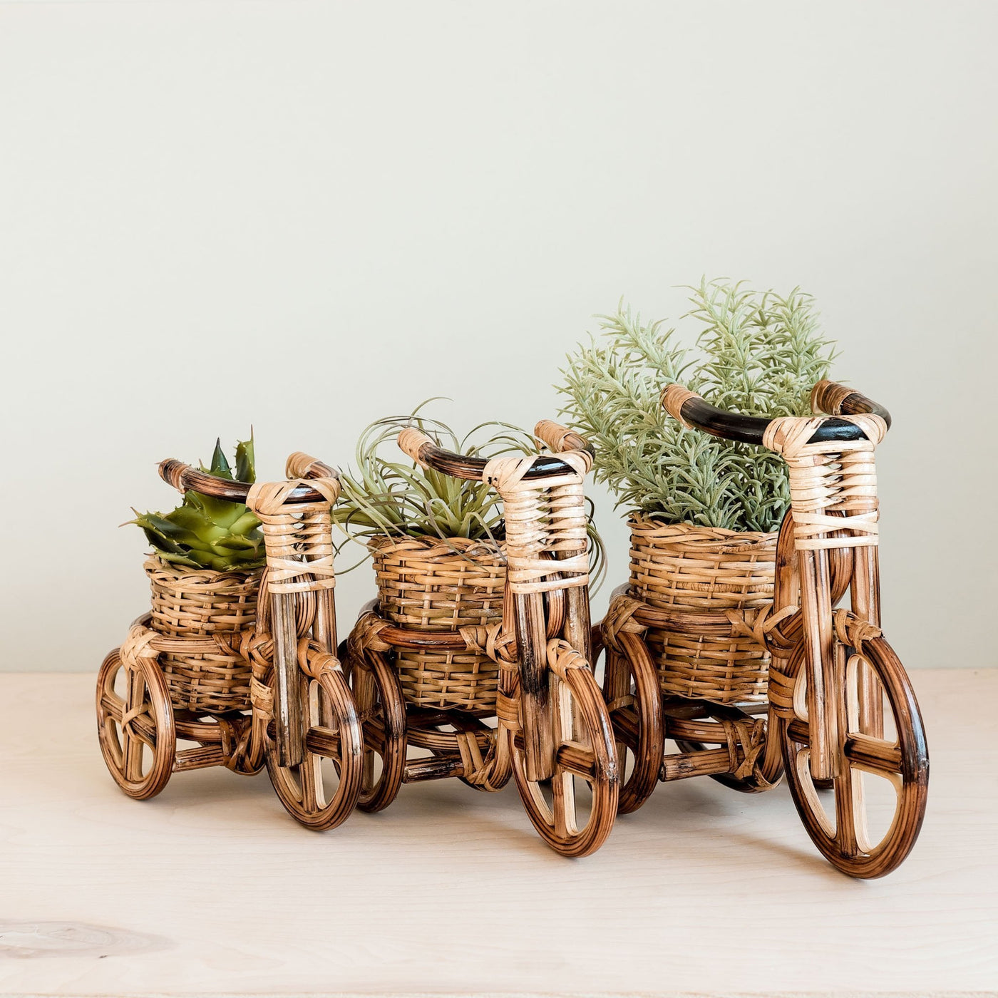 Bicycle Rattan Planter, large - Handmade Planters | LIKHÂ by LIKHÂ