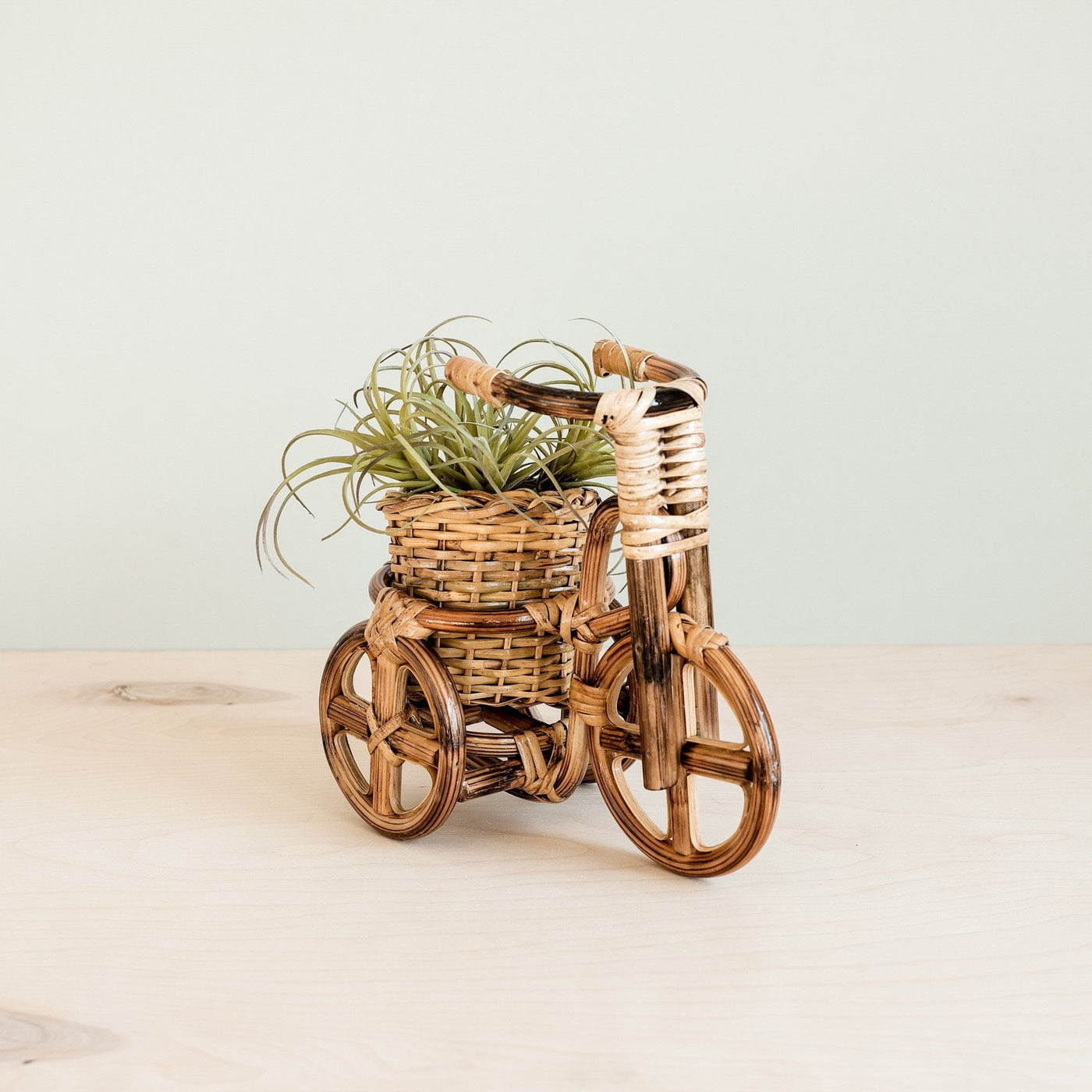 Bicycle Rattan Planter, medium - Handmade Planters | LIKHÂ by LIKHÂ