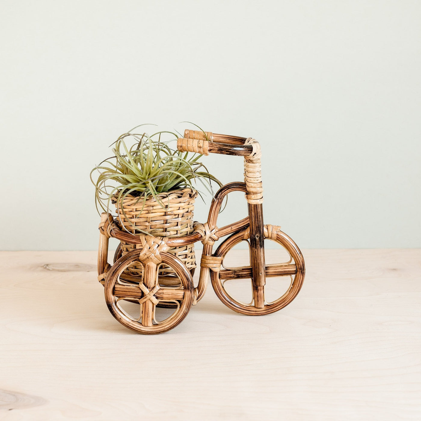 Bicycle Rattan Planter, medium - Handmade Planters | LIKHÂ by LIKHÂ